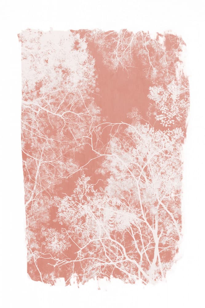 Terracotta Sky Forest by amini54 — canvas wall art