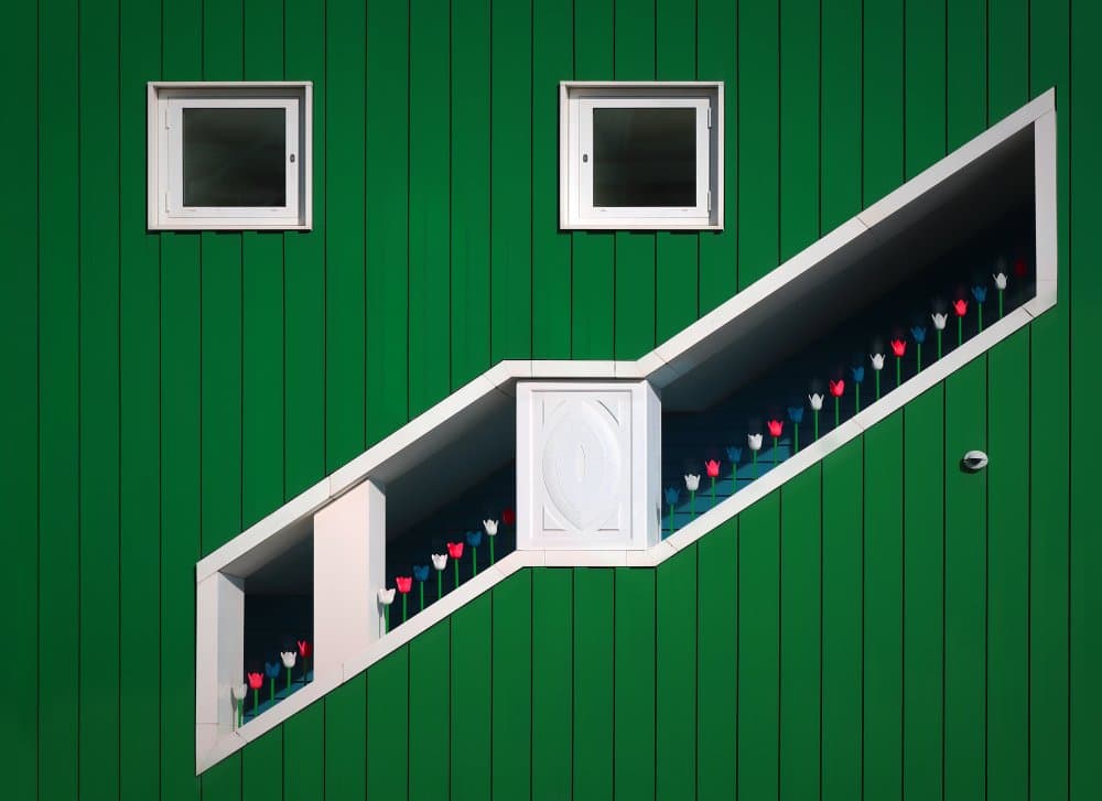 Green Wall Tulip Windows by Hans-Wolfgang Hawerkamp — canvas wall art