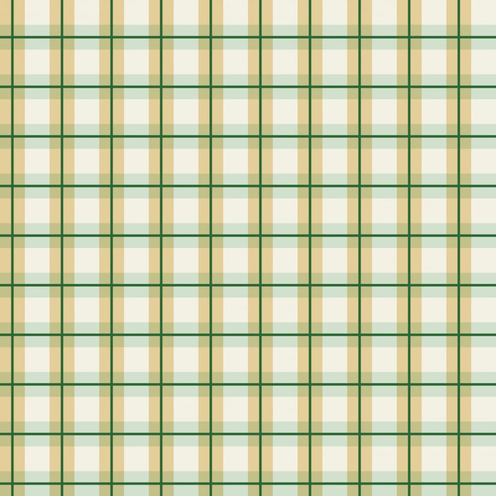 Soft Green Plaid by Annick — canvas wall art