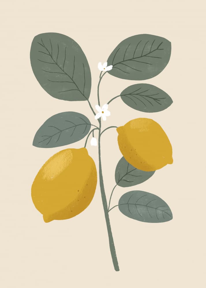 Lemon Branch Bloom by Katarzyna Gąsiorowska — canvas wall art