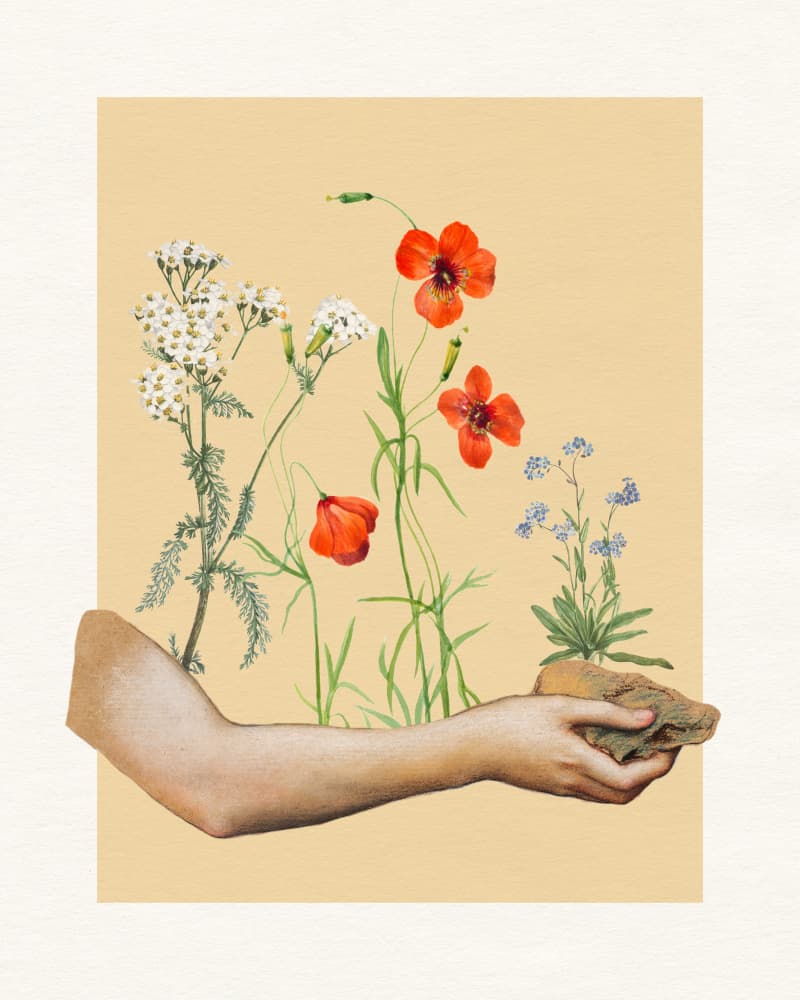 Wildflower Hand Collage by Wild Violets — canvas wall art