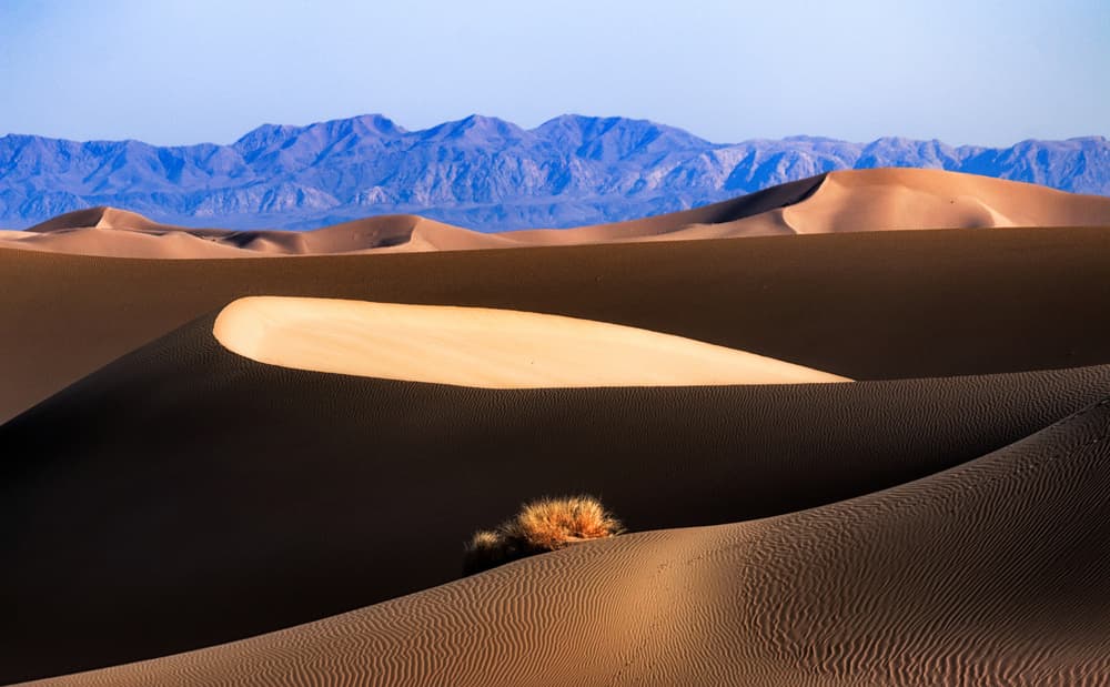 Golden Desert Shadows by Babak Mehrafshar — canvas wall art