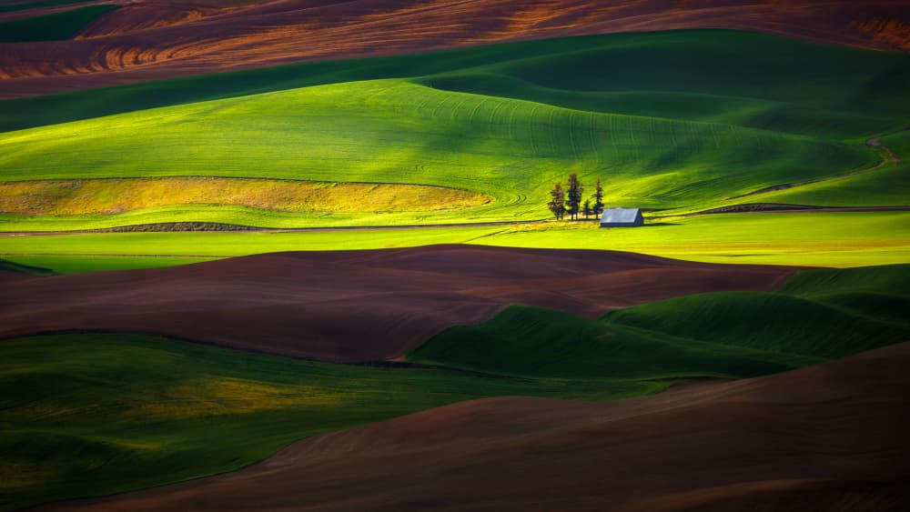 Rolling Farmland Hills by James Lu — canvas wall art