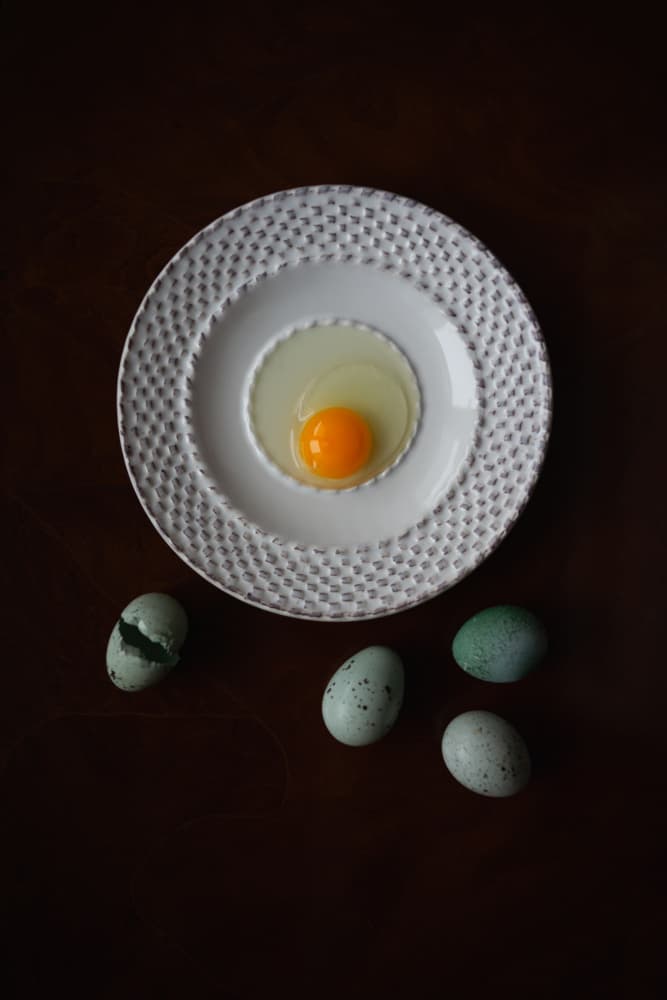 Farm Fresh Eggs by Karina Aleksandrova — canvas wall art