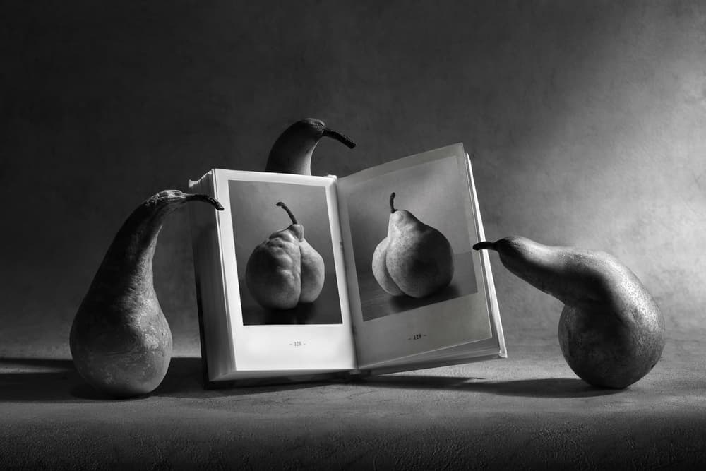 Pears Study Book by Victoria Glinka — canvas wall art