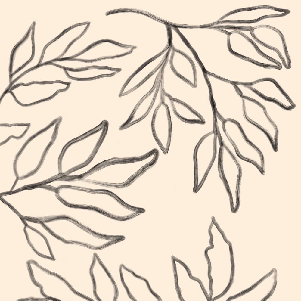 Organic Botanical Lines by Aliya Putrus — canvas wall art