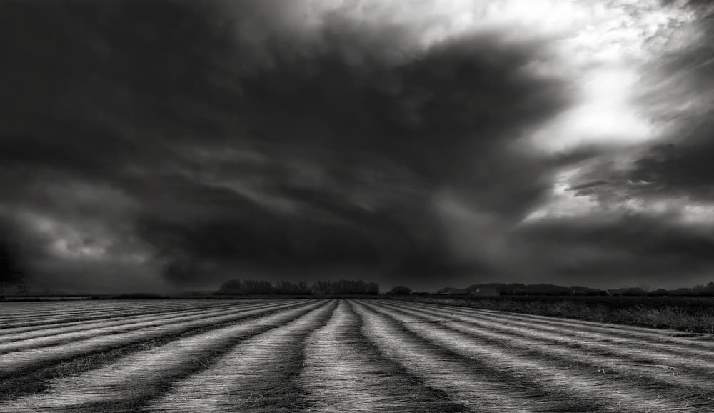 Dramatic Field Sky by Yvette Depaepe — canvas wall art