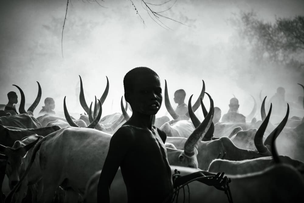 African Boy Cattle Herder by Svetlin Yosifov — canvas wall art