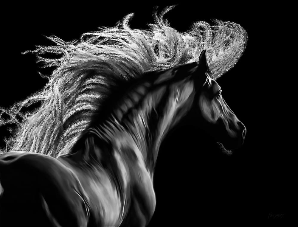 Spirited White Horse by Lord Amihere — canvas wall art