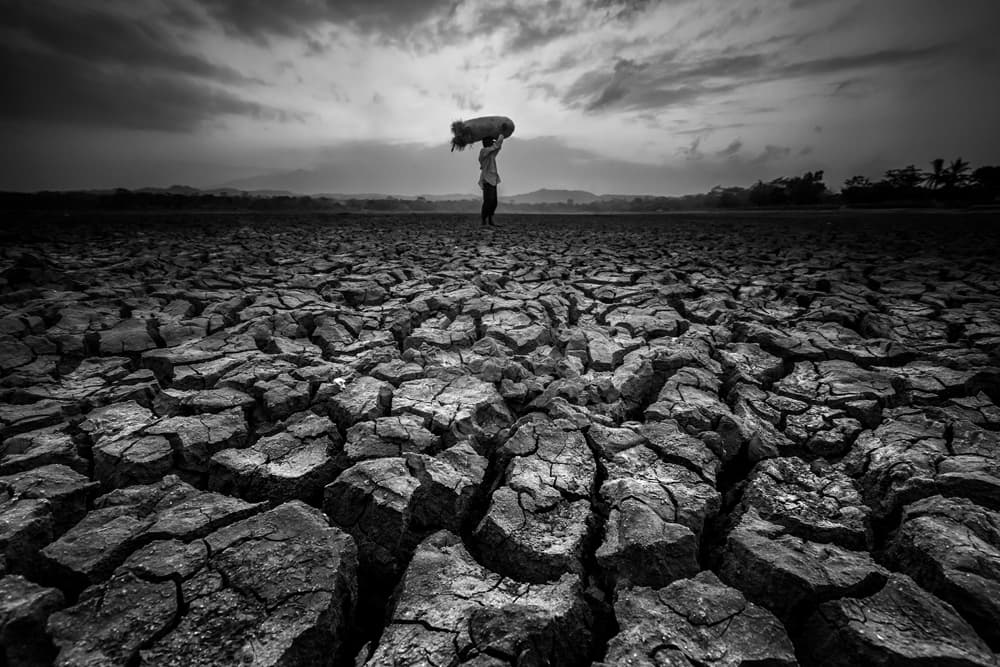 Burden Of The Drought by Gunarto Song — canvas wall art