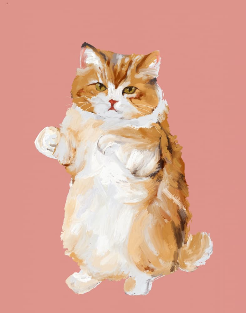 Cute Standing Cat by Josie George — canvas wall art