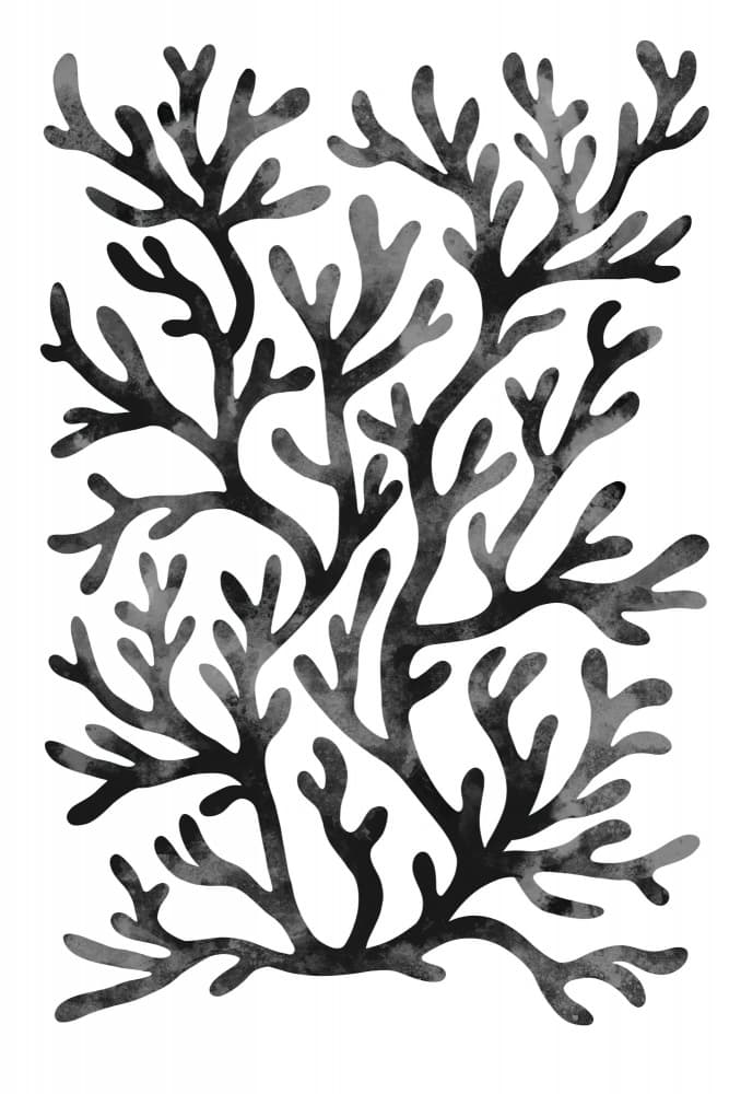 Flowing Black Coral by EMELIEmaria — canvas wall art