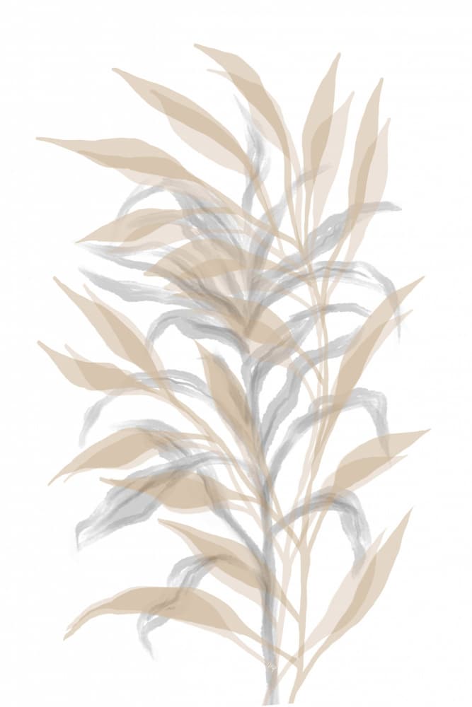Soft Neutral Foliage by Martina — canvas wall art
