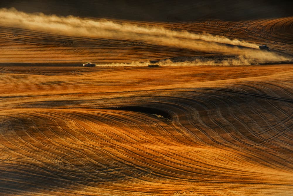 Golden Harvest Fields by Lydia Jacobs — canvas wall art