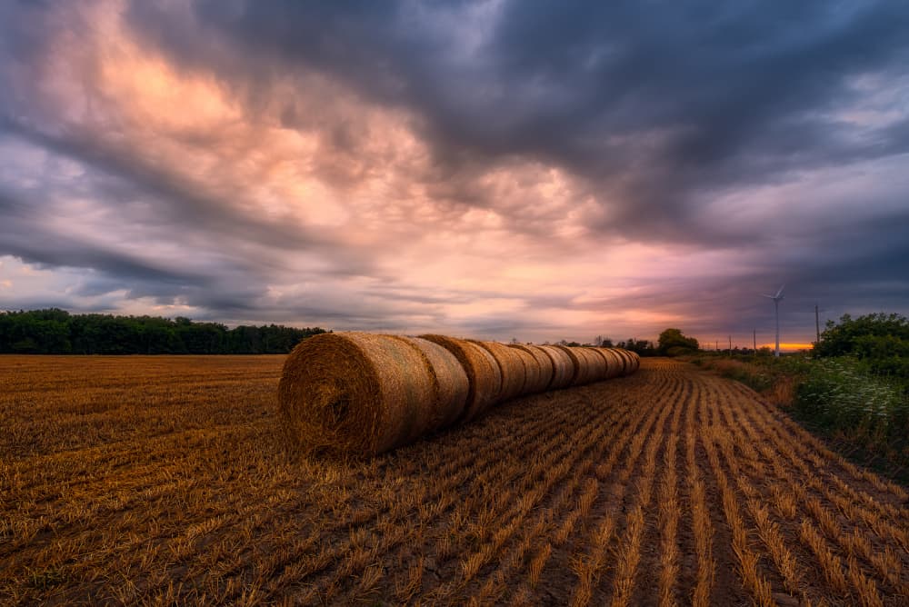 Golden Hour Hay Bales by Ben.C.L — canvas wall art