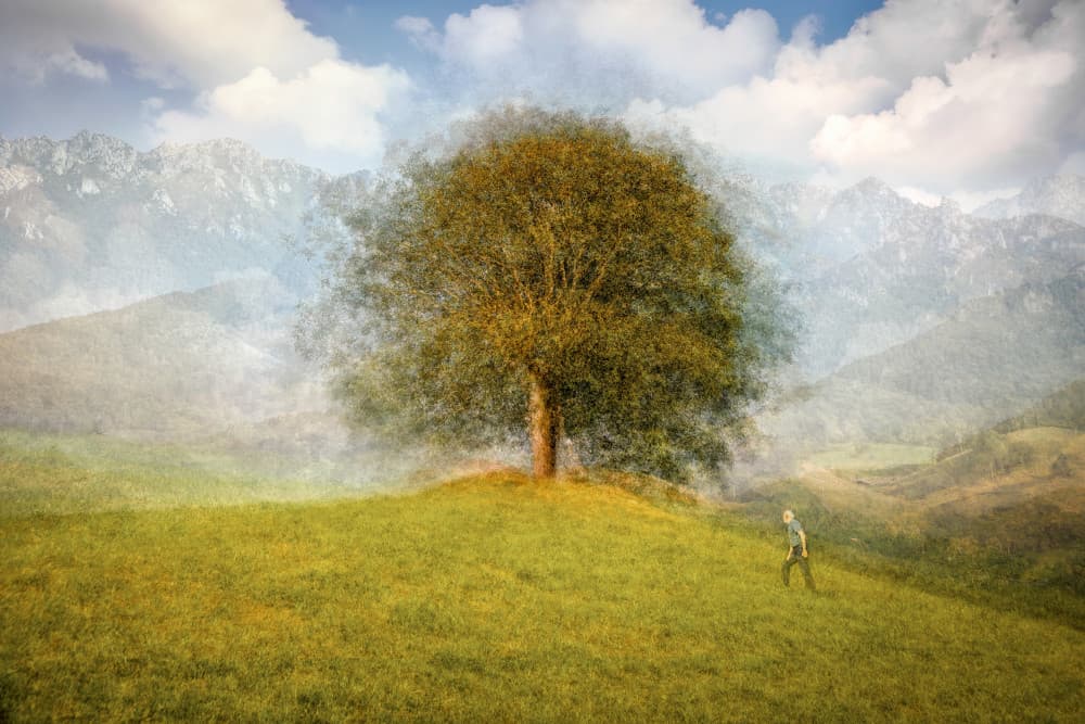 Dreamy Mountain Wanderer by Fiorenzo Carozzi — canvas wall art
