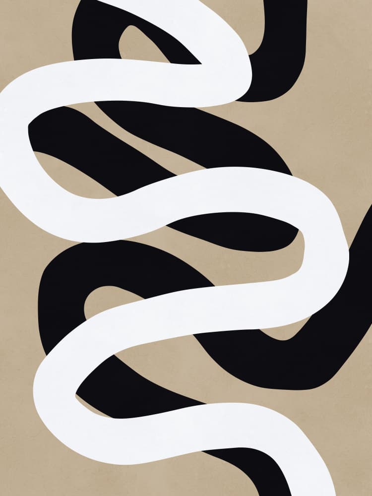Abstract Black White Curves by Vitor Costa — canvas wall art