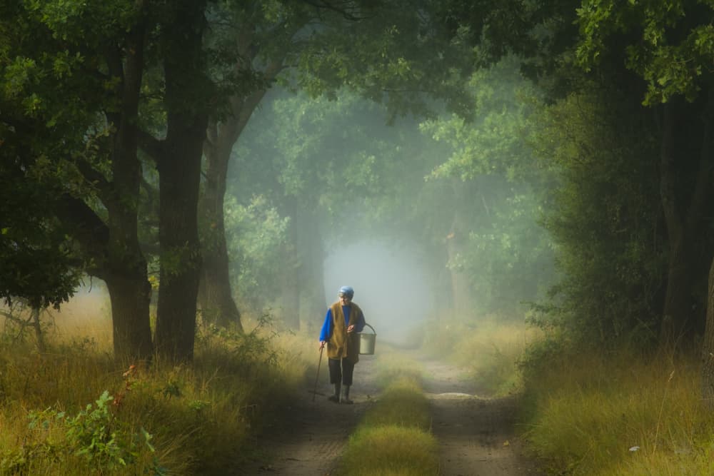 Walker in Misty Forest by Leszek Paradowski — canvas wall art