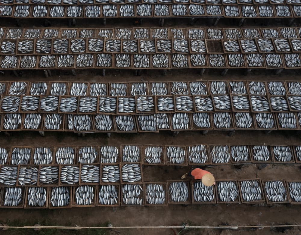 Fish Drying Fields by Clas Gustafson PRO — canvas wall art