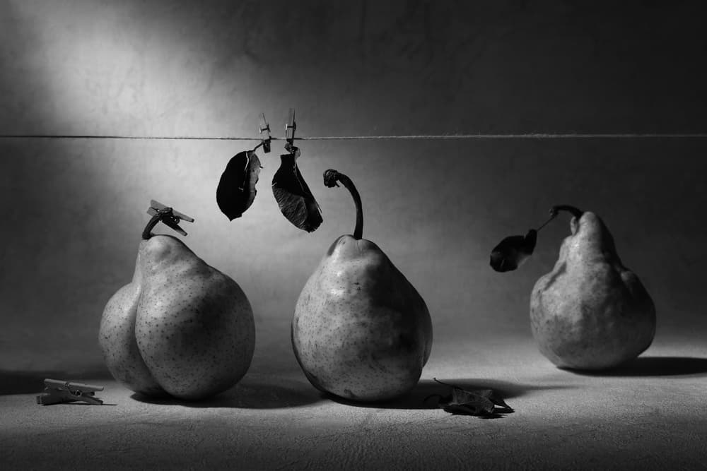 Pears On The Line by Victoria Glinka — canvas wall art