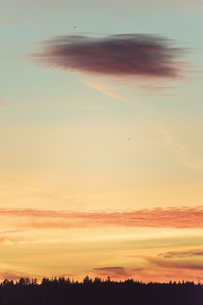 Vibrant Sunset Sky by Lynann Colligan — canvas wall art