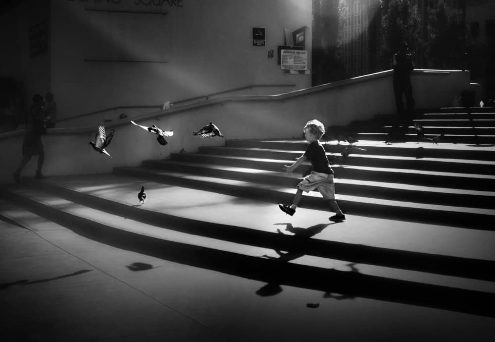 Boy and Pigeons Play by Kapuschinsky — canvas wall art