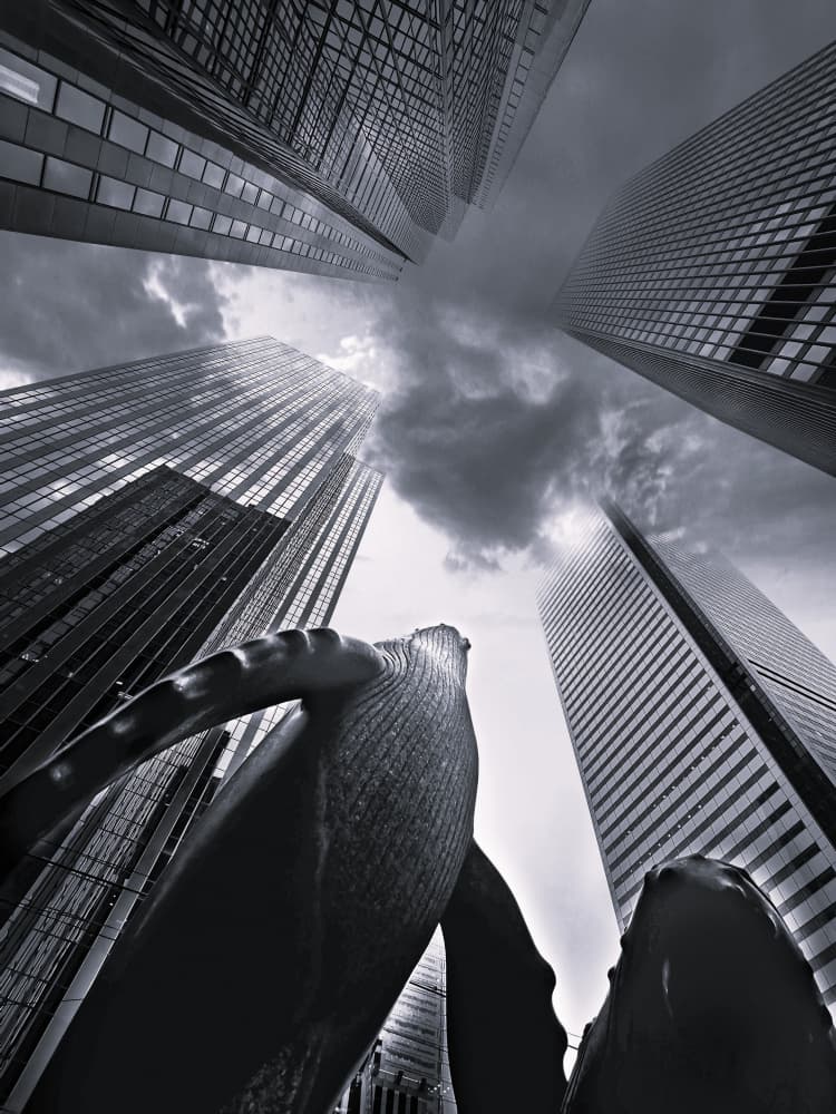 Whale Among Skyscrapers by Jasmine Zhang — canvas wall art