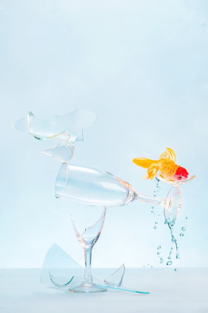 Surreal Goldfish Escape by Dina Belenko — canvas wall art