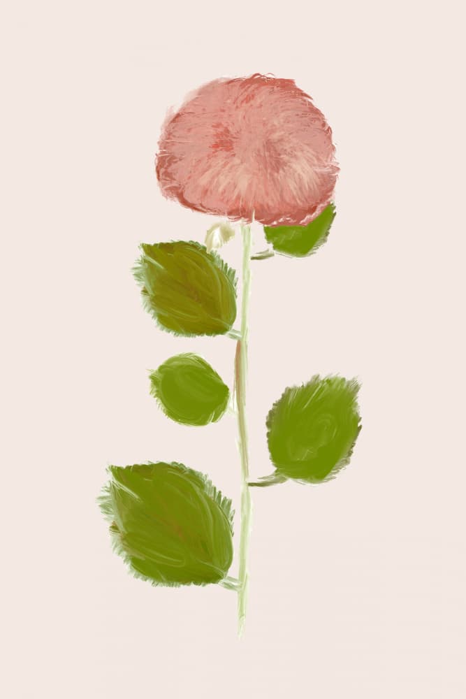 Soft Pink Bloom by casa cartissi — canvas wall art