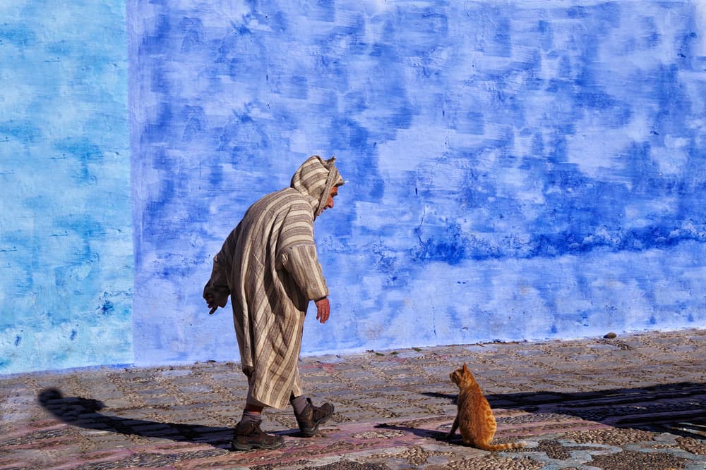 Moroccan Blue City by Giovanni Cavalli — canvas wall art