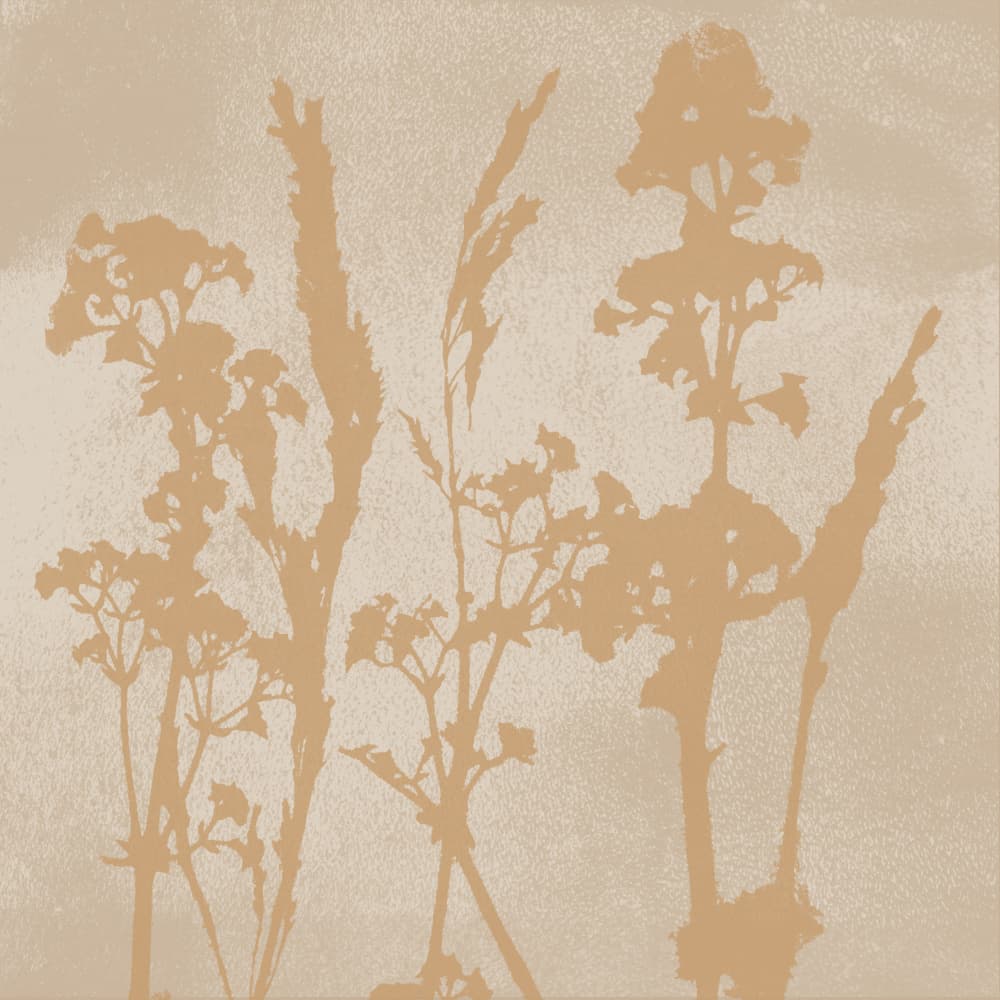 Earthy Botanical Silhouettes by Dina Dankers — canvas wall art