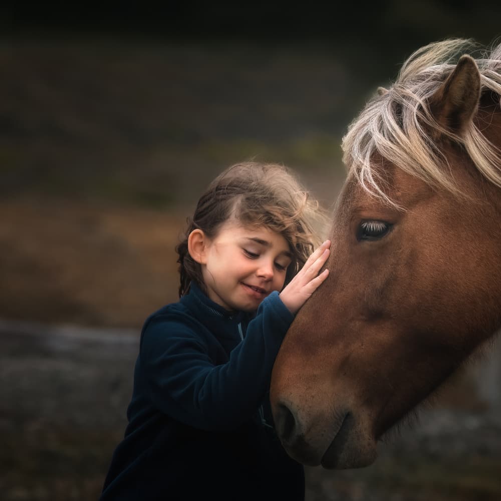 Tender Horse Friendship by Aidong Ning — canvas wall art
