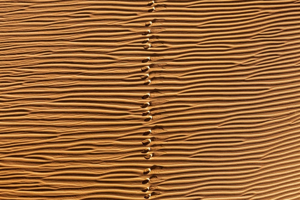 Pass by Mohammadreza Momeni — canvas wall art