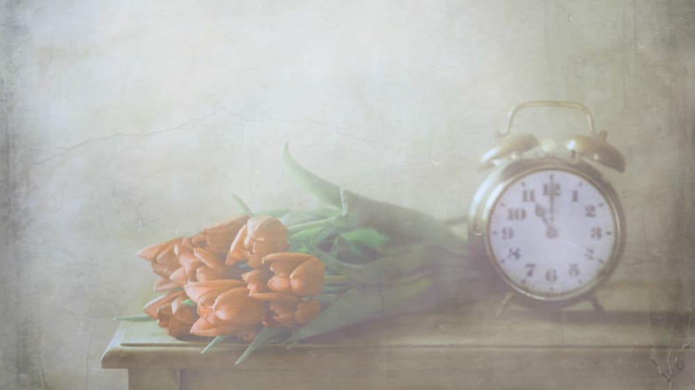 Dreamy Tulips and Time by Delphine Devos — canvas wall art