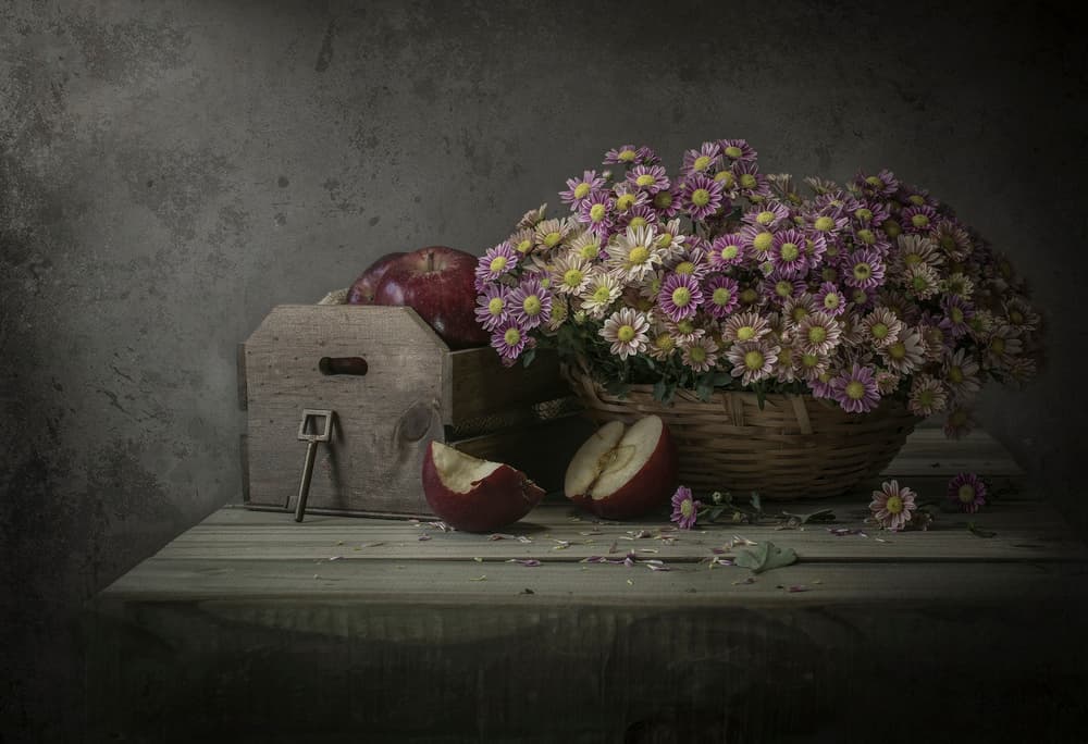 Moody Flowers and Apples by Margareth Perfoncio — canvas wall art