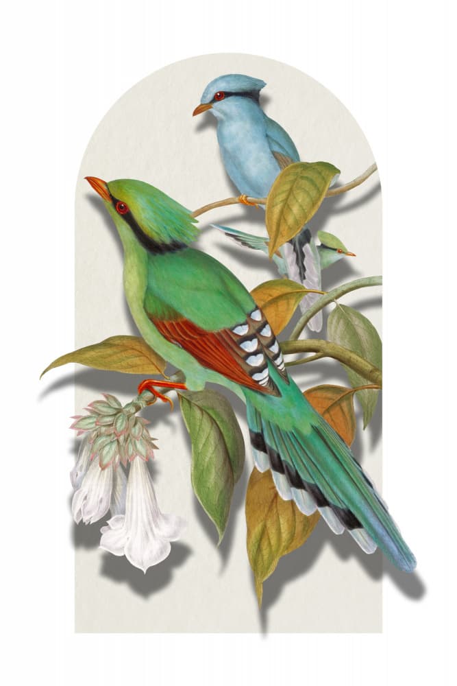 Colorful Birds on Branch by Marja van den Hurk — canvas wall art