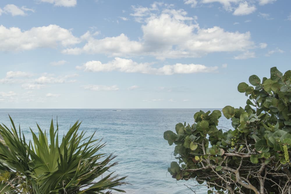 Tropical Ocean View by Lynann Colligan — canvas wall art