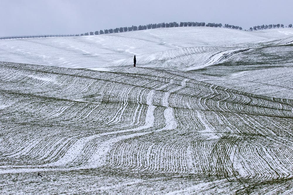 Solitude in Winter Fields by Massimo Della Latta — canvas wall art