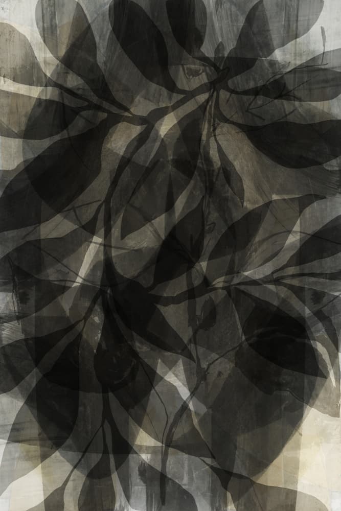Shadowed Botanical Layers by cartissi — canvas wall art