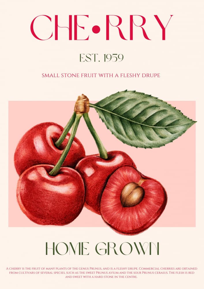 Home Grown Cherries by Nazma Khokhar — canvas wall art