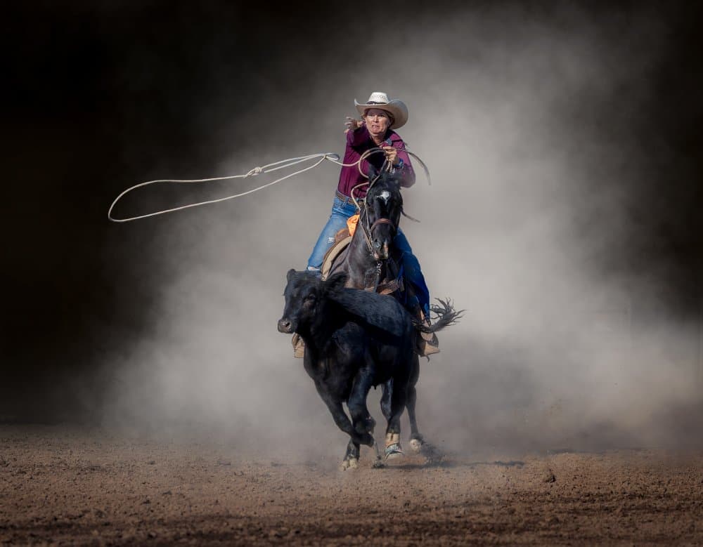 Rodeo Cowgirl Action by Frank Ma — canvas wall art