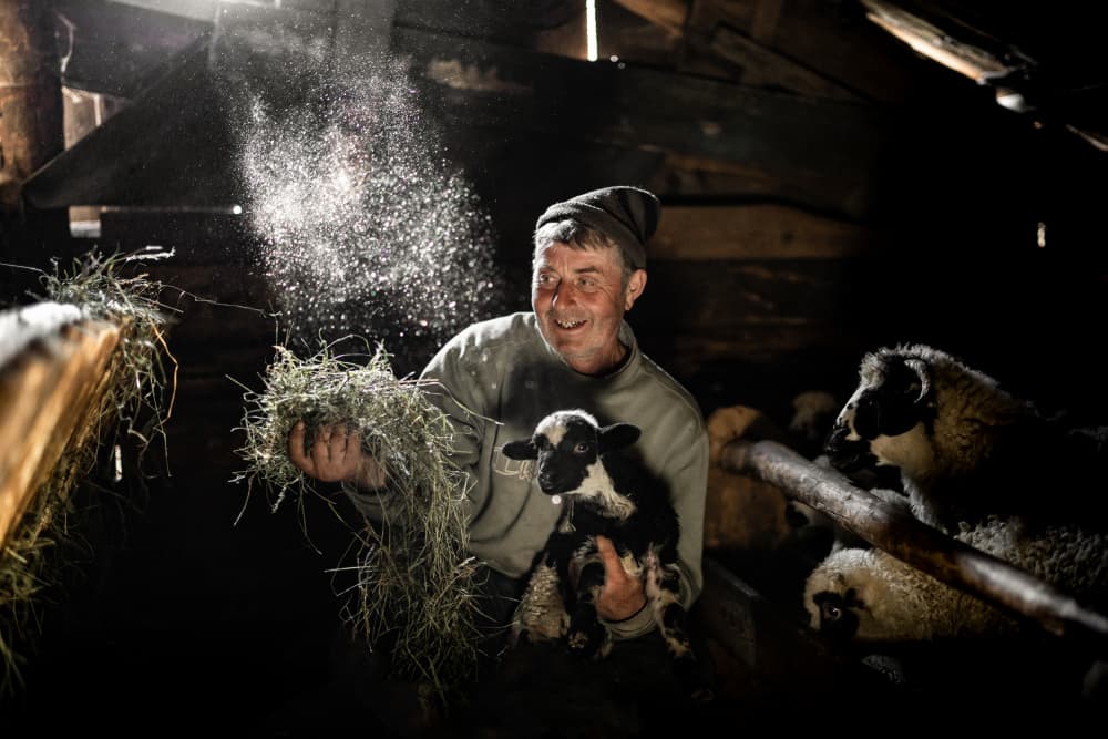Happy Farmer With Lamb by Adrian — canvas wall art