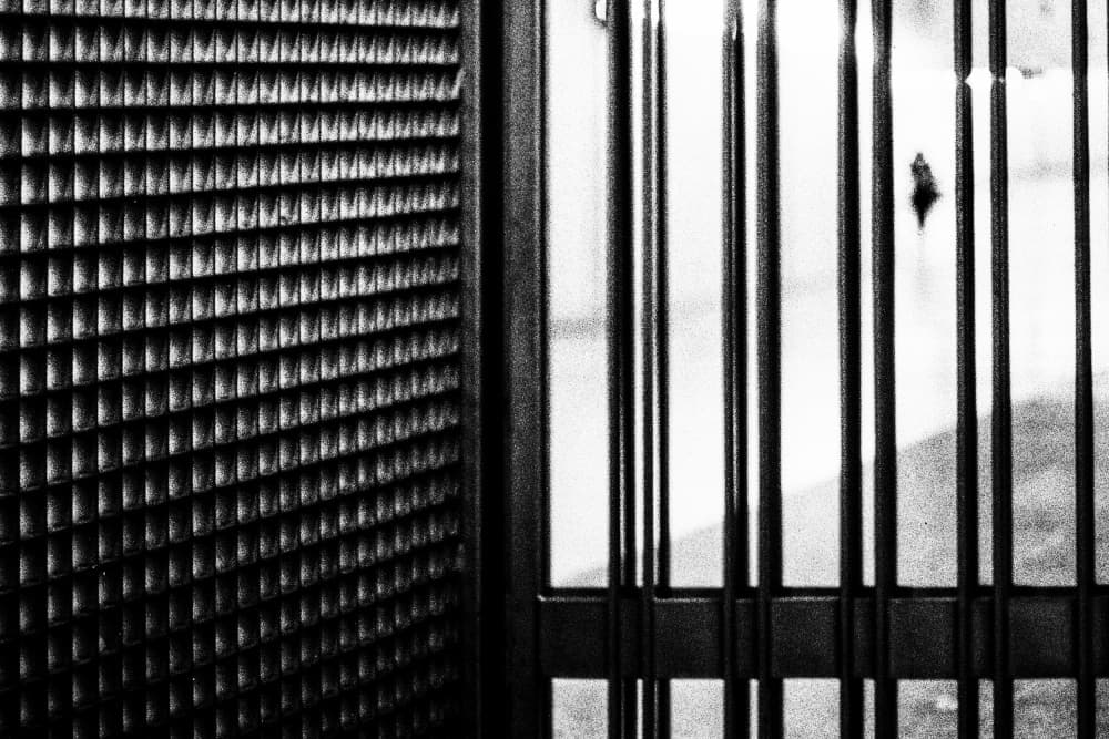 Geometric Grid Lines by Paulo Abrantes — canvas wall art
