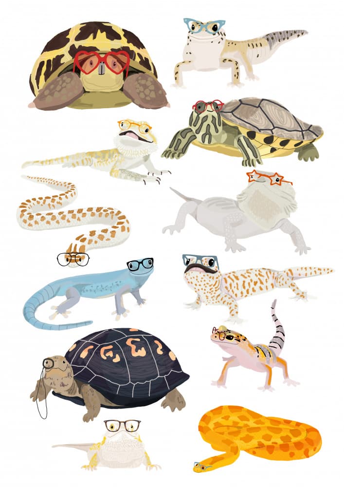 Whimsical Reptiles With Glasses by Hanna Melin — canvas wall art