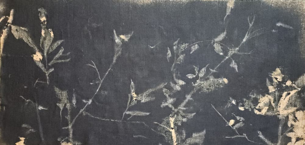Dark Botanical Study by Stefano Mazzolini — canvas wall art
