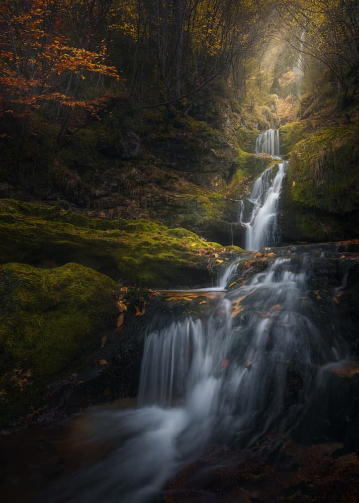 Autumn Forest Cascade by Thomas de Franzoni — canvas wall art