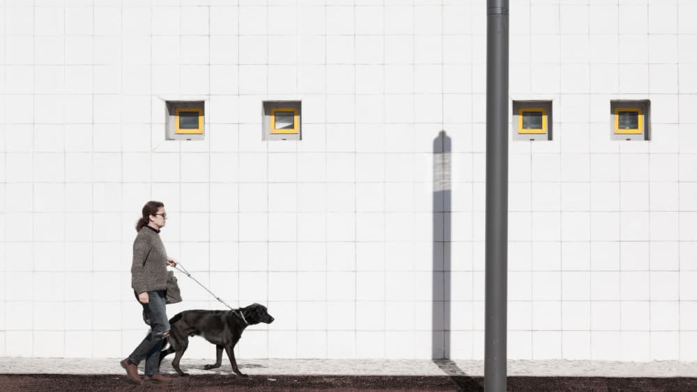 Minimalist Urban Dog Walk by Ina Tänzer — canvas wall art