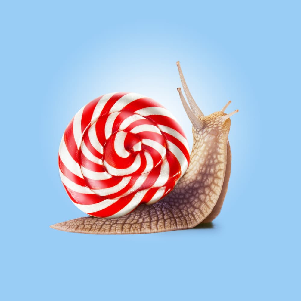 Sweet Lollipop Snail by Artem Pozdniakov — canvas wall art