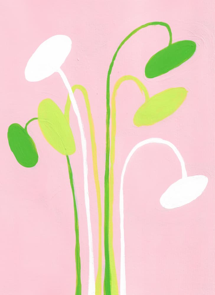 Pink Botanical Stems by Lerin Freyou — canvas wall art