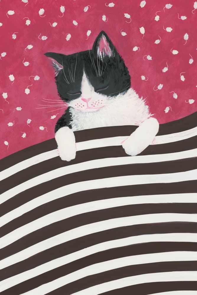 Sleeping Cat Dreams by Rosana Laiz Blursbyai — canvas wall art